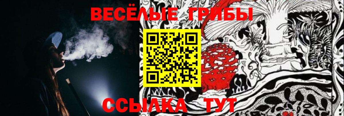 Псилоцибиновые грибы Psilocybine cubensis Медногорск