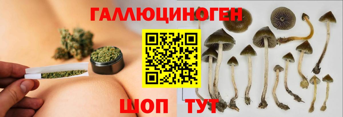 Галлюциногенные грибы прущие грибы  наркошоп  Медногорск  Вход с VPN 